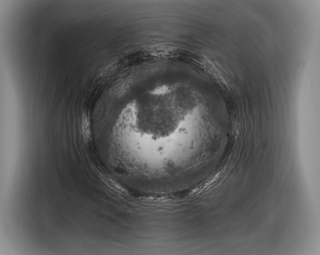 X0000116561106200912171404