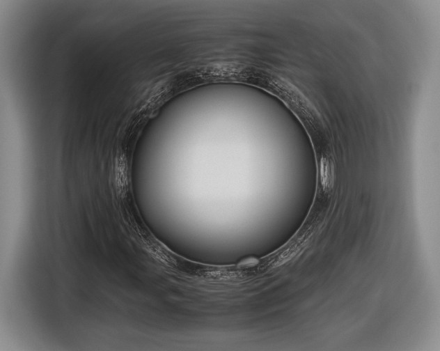 X0000116561107200912171404