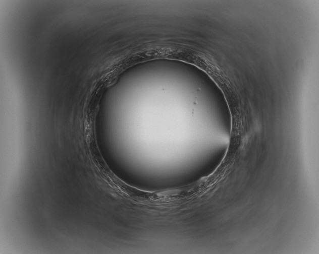 X0000116561109200912171404