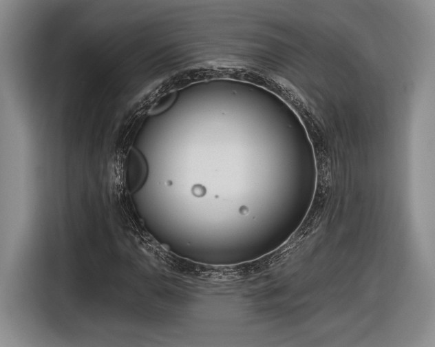 X0000116561110200912171404