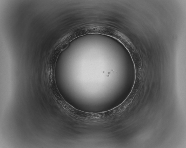 X0000116561111200912171404