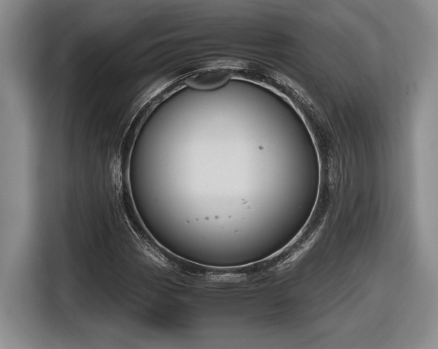 X0000116561113200912171404