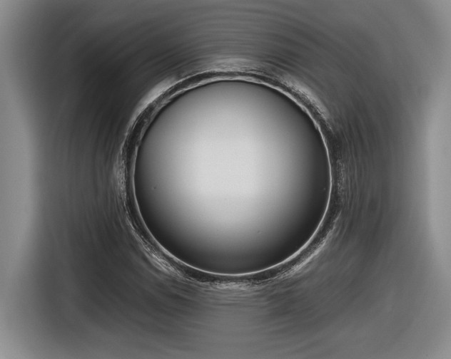 X0000116561114200912171404