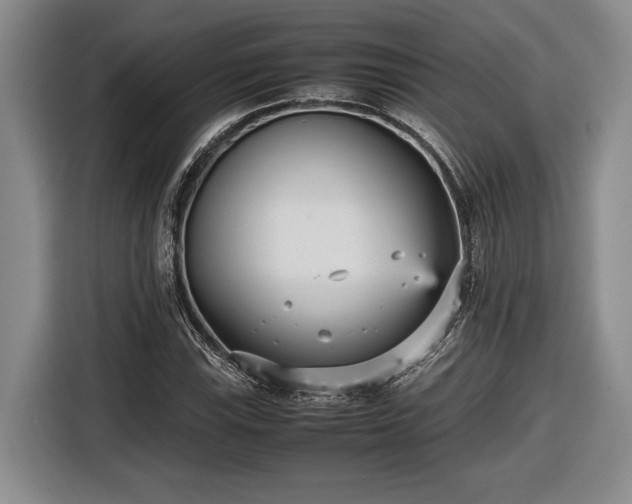 X0000116561115200912171404