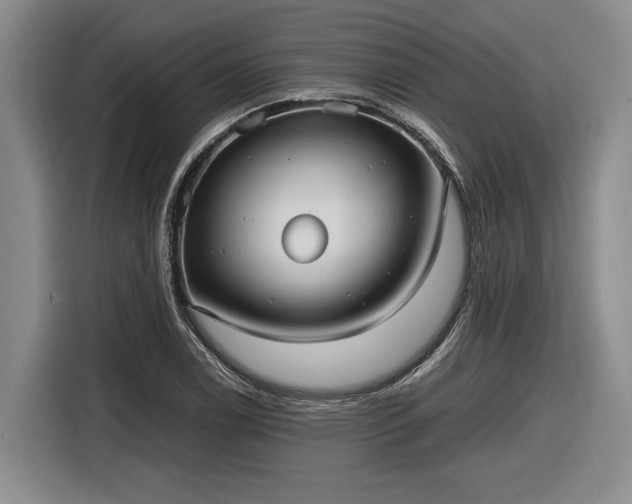 X0000116561122200912171404