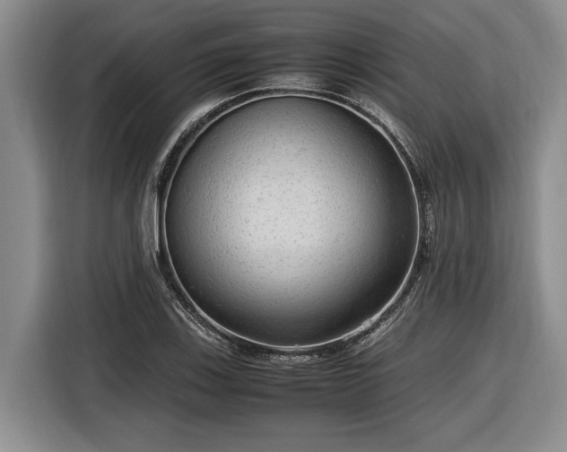 X0000116561123200912171404