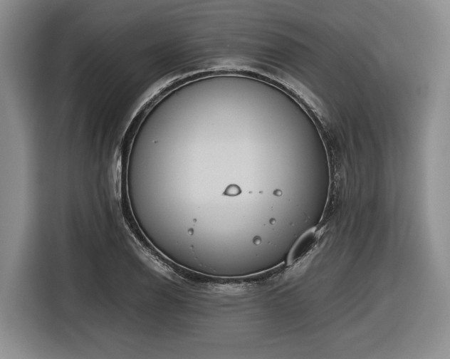 X0000116561126200912171404