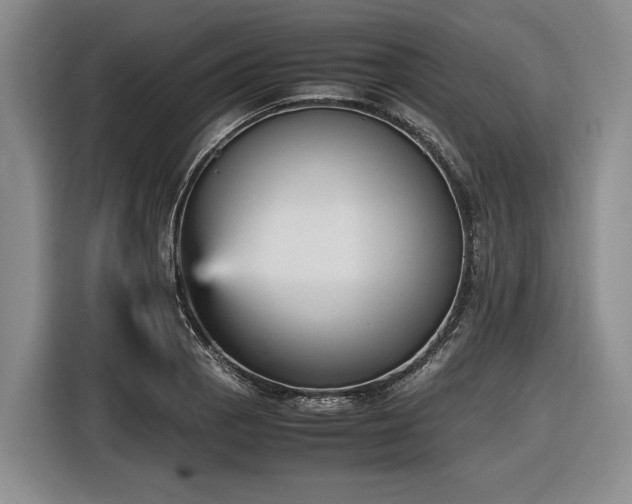 X0000116561129200912171404