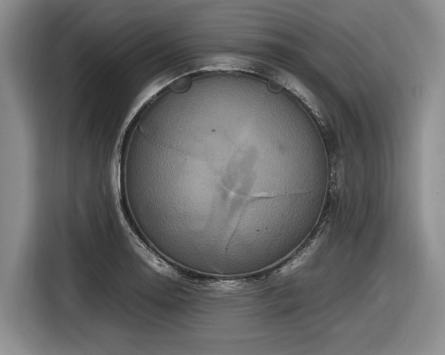 X0000116561130200912171404