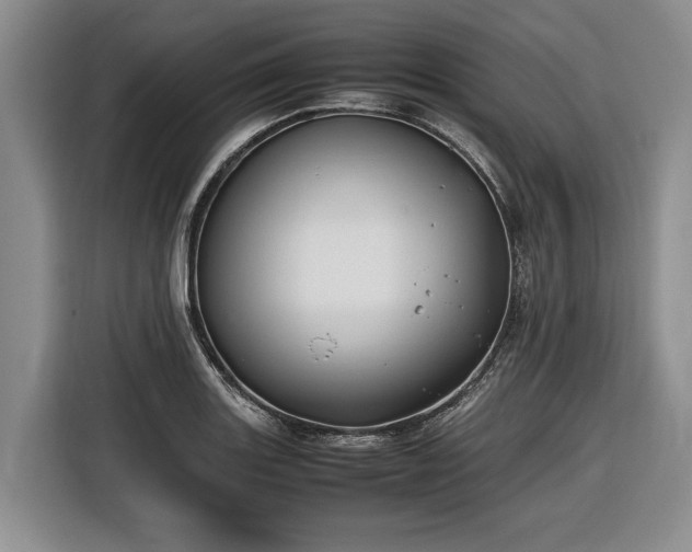 X0000116561131200912171404