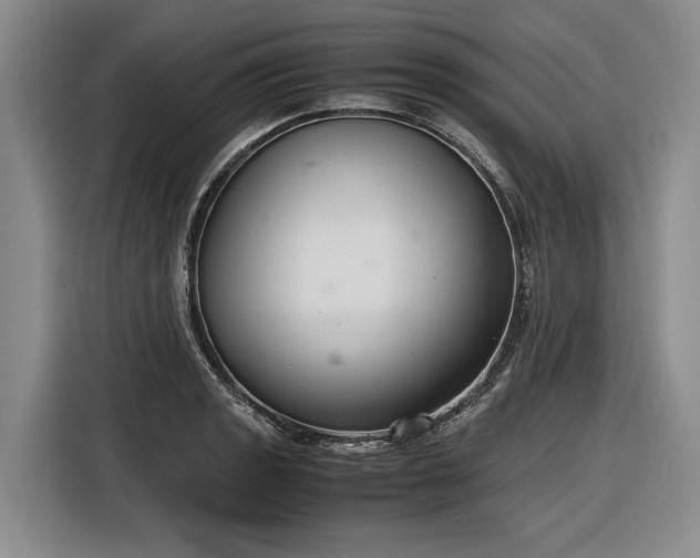 X0000116561133200912171404