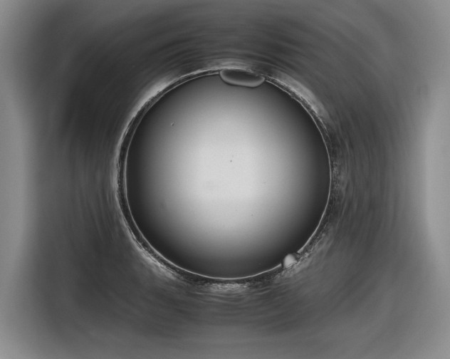 X0000116561135200912171404