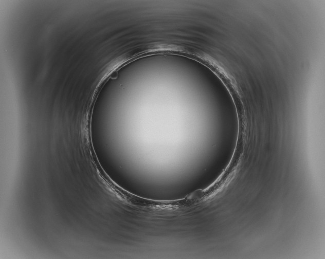 X0000116561137200912171404