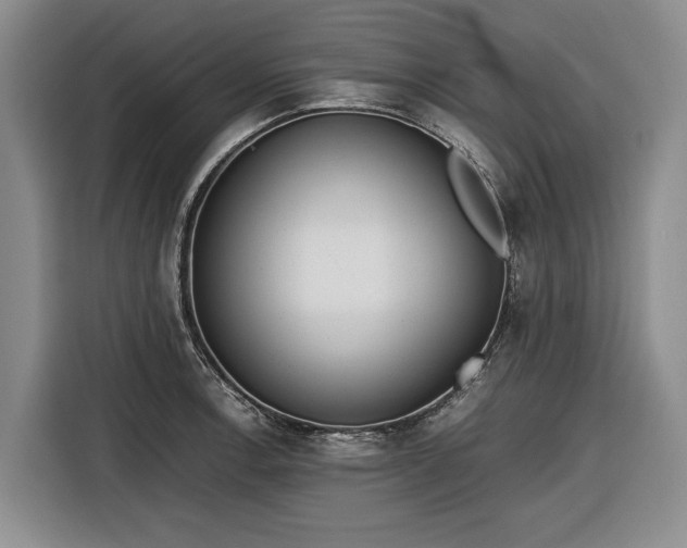 X0000116561138200912171404