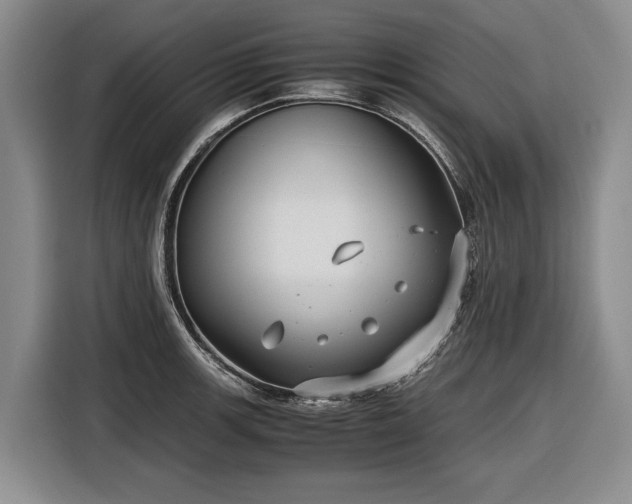 X0000116561139200912171404