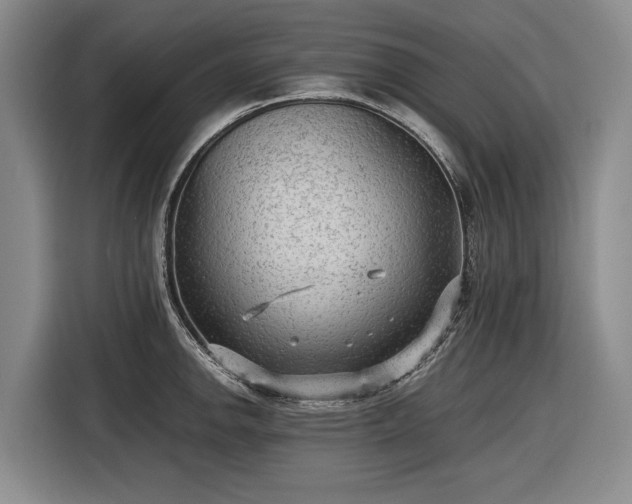 X0000116561142200912171404