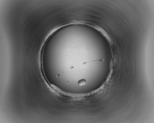 X0000116561143200912171404