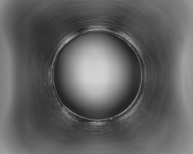 X0000116561145200912171404