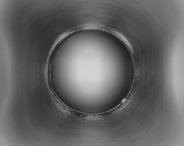 X0000116561146200912171404