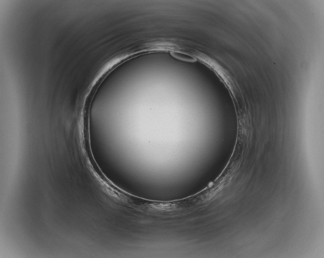 X0000116561147200912171404