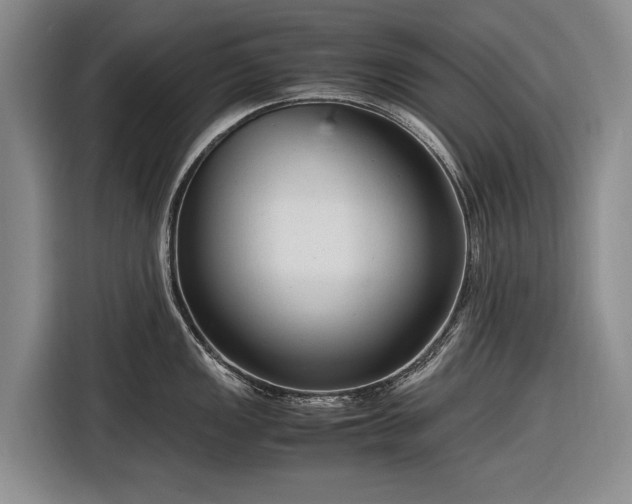 X0000116561149200912171404