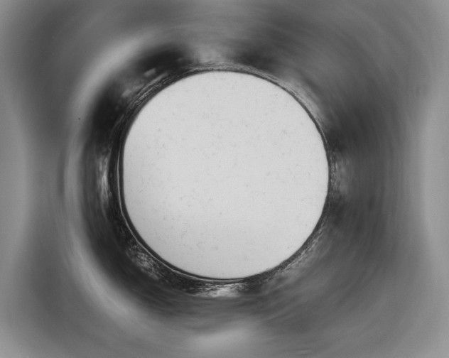 X0000116561150200912171404