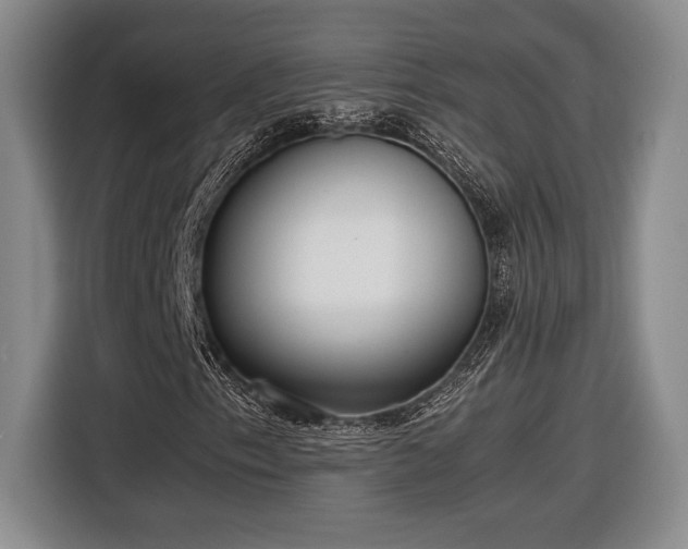 X0000116561153200912171404