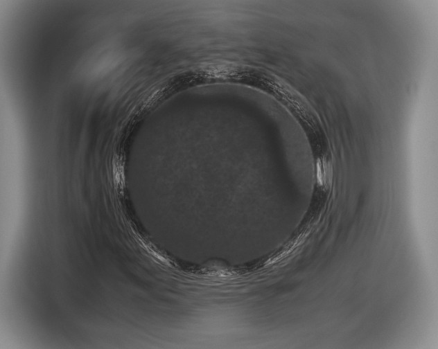 X0000116561155200912171404