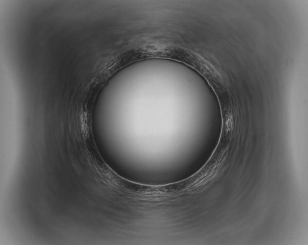 X0000116561156200912171404