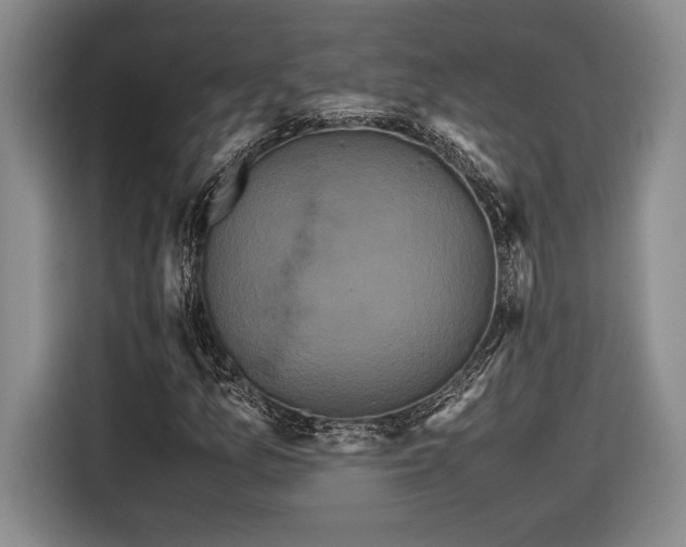 X0000116561157200912171404