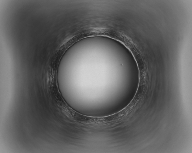 X0000116561158200912171404