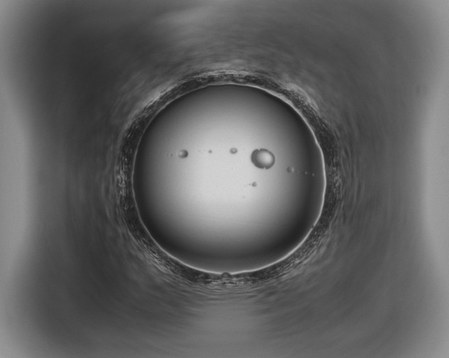 X0000116561159200912171404