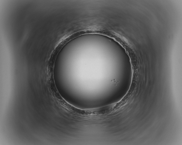 X0000116561160200912171404