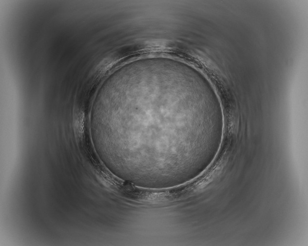 X0000116561161200912171404