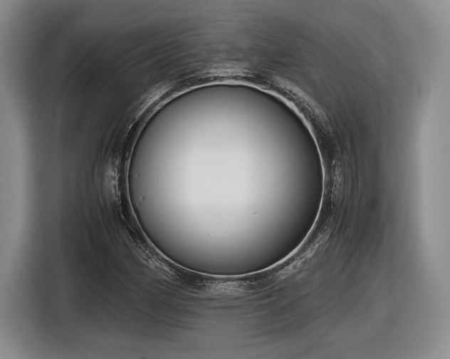 X0000116561162200912171404