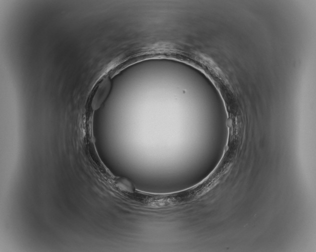 X0000116561165200912171403