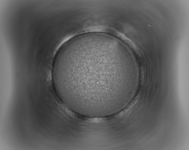 X0000116561166200912171403