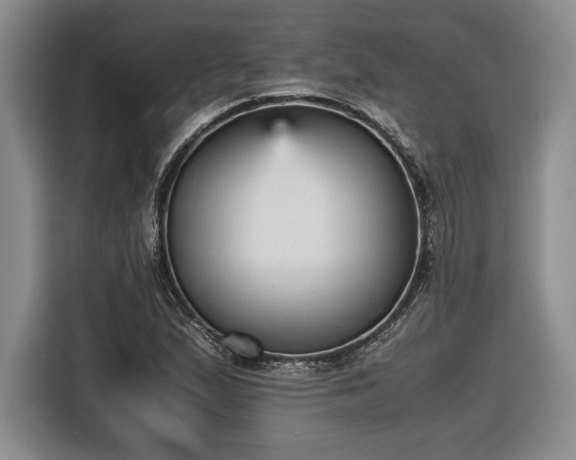 X0000116561167200912171403