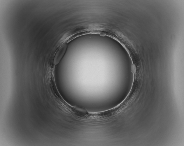 X0000116561169200912171403