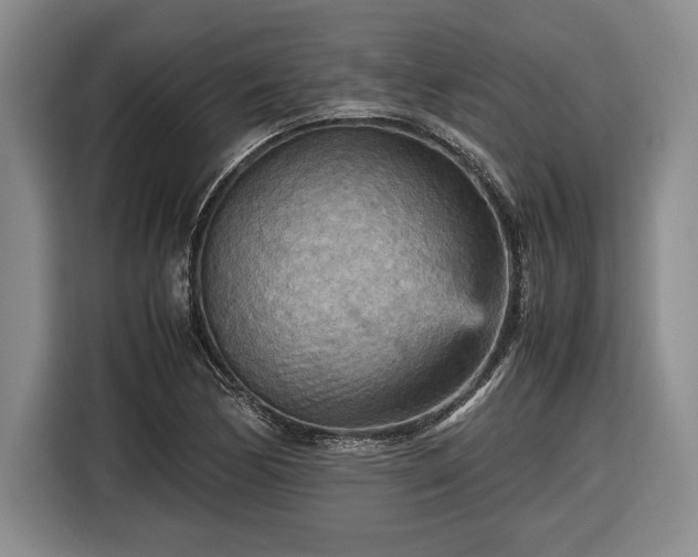 X0000116561170200912171403