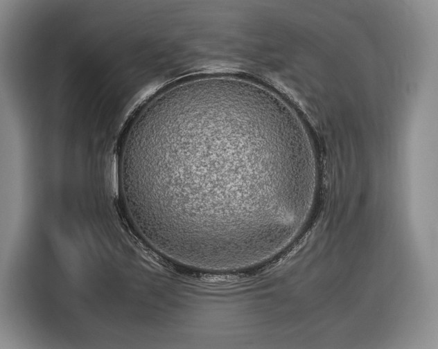 X0000116561171200912171403