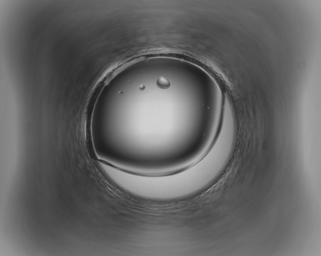 X0000116561173200912171403