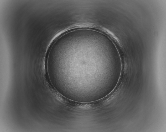 X0000116561174200912171403