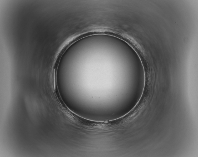 X0000116561175200912171403