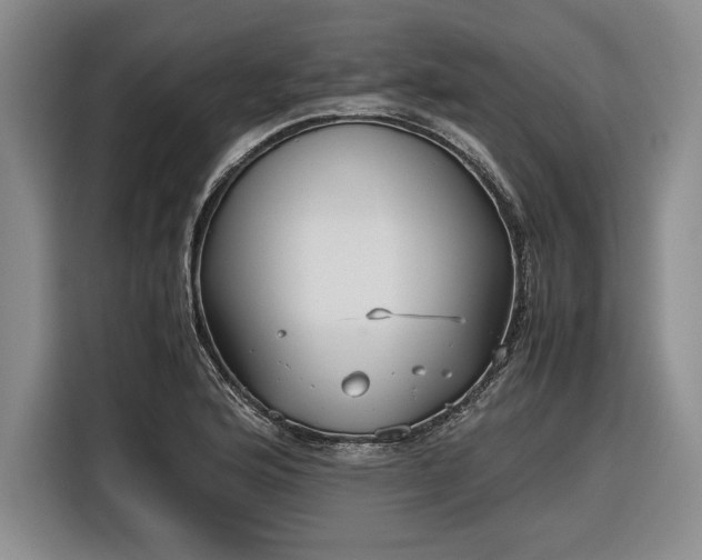 X0000116561176200912171403