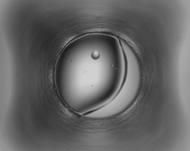 X0000116561177200912171403