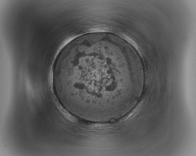 X0000116561179200912171403