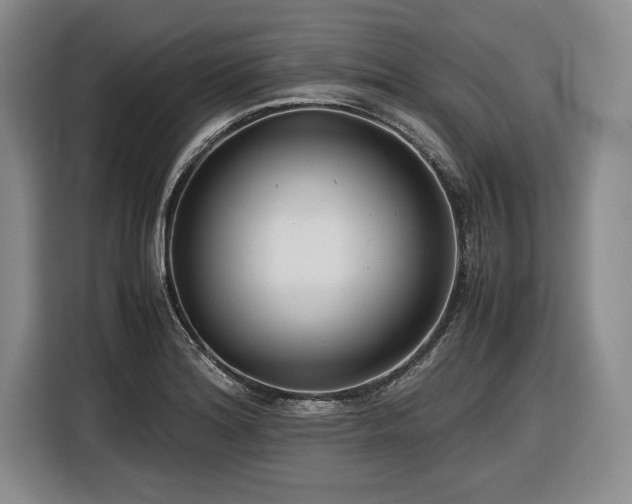 X0000116561180200912171403