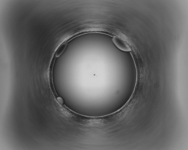 X0000116561181200912171403