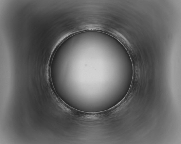 X0000116561182200912171403